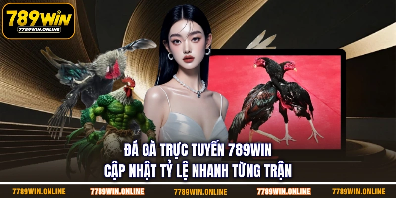 Đá Gà Trực Tuyến 789WIN | Cập Nhật Tỷ Lệ Nhanh Từng Trận
