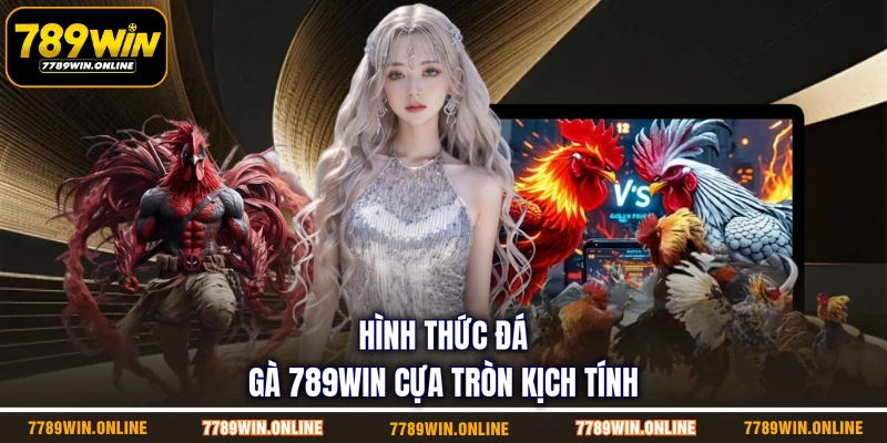 Hình thức đá gà 789WIN cựa tròn kịch tính Hình thức đá gà 789WIN cựa tròn kịch tính