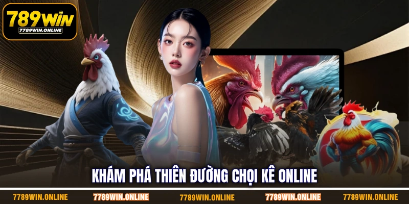 Khám phá thiên đường chọi kê online Khám phá thiên đường chọi kê online