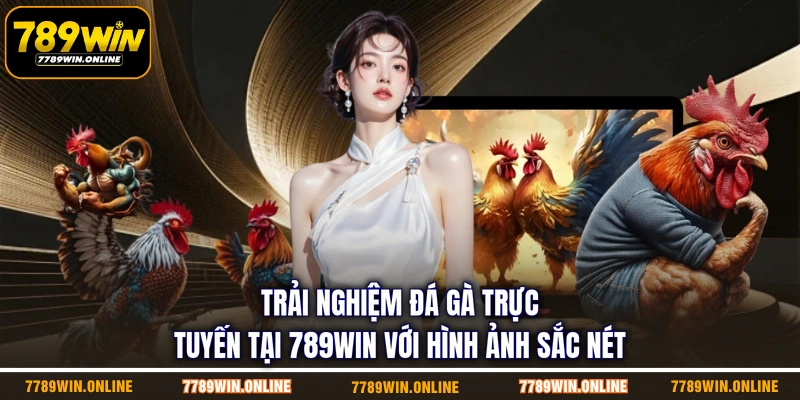 Trải nghiệm đá gà trực tuyến tại 789WIN với hình ảnh sắc nét
